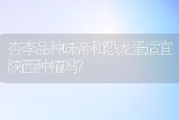 杏李品种味帝和恐龙蛋适宜陕西种植吗?