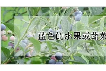 蓝色的水果或蔬菜