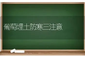 葡萄埋土防寒三注意