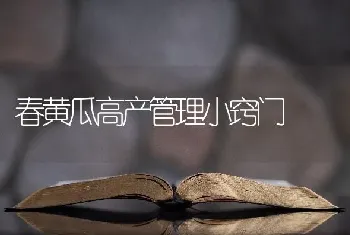 春黄瓜高产管理小窍门