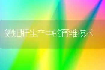 玉米出现秃尖缺粒 只需补施这些肥料