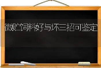 冬菜施肥为什么要以速效为主