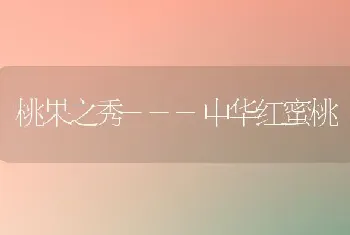 桃果之秀---中华红蜜桃