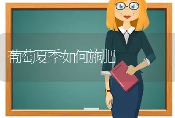 葡萄夏季如何施肥