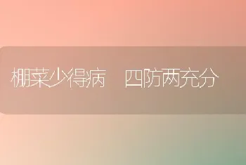 棚菜少得病 四防两充分