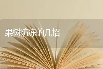 果树防冻的几招