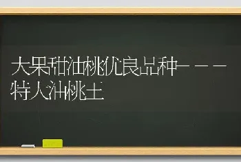 大果甜油桃优良品种---特大油桃王