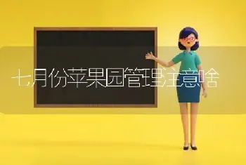 七月份苹果园管理注意啥