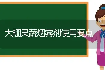 大棚果蔬烟雾剂使用要点