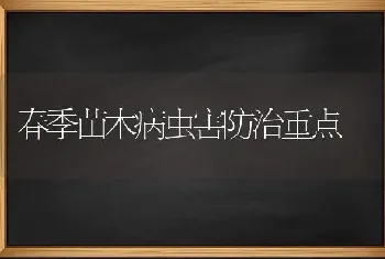 春季苗木病虫害防治重点