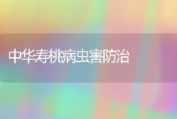 中华寿桃病虫害防治