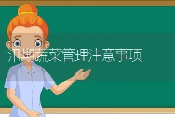 汛期蔬菜管理注意事项