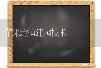 苹果定植建园技术