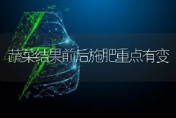 蔬菜结果前后施肥重点有变