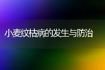 小麦纹枯病的发生与防治