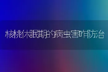 核桃休眠期的病虫害咋防治