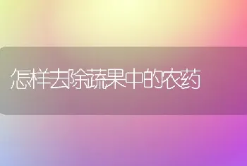 怎样去除蔬果中的农药