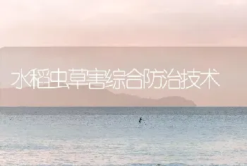 水稻虫草害综合防治技术