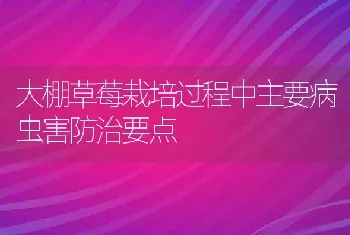 大棚草莓栽培过程中主要病虫害防治要点