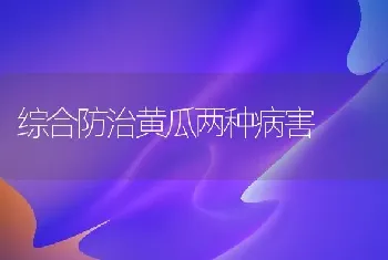 综合防治黄瓜两种病害