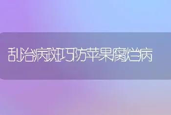 刮治病斑巧防苹果腐烂病