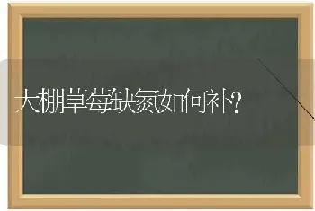 大棚草莓缺氮如何补?