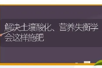 解决土壤酸化、营养失衡学会这样施肥