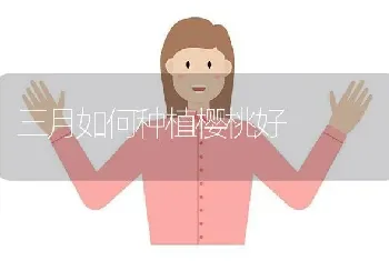 三月如何种植樱桃好