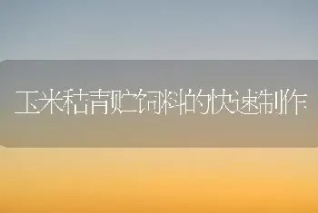 玉米秸青贮饲料的快速制作