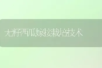 无籽西瓜嫁接栽培技术