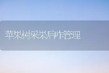 苹果树采果后咋管理