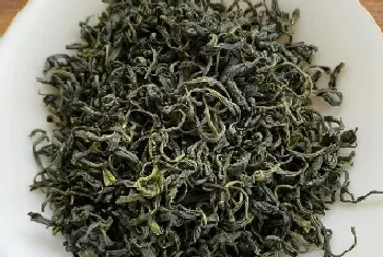 玉露茶属于什么茶类?