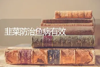 韭菜防治鱼病有效