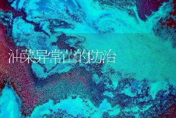 油菜异常苗的防治