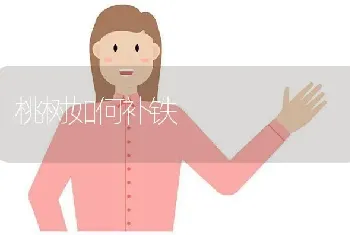 桃树如何补铁