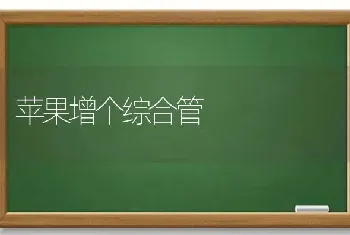 苹果增个综合管