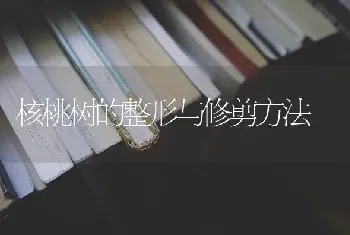 核桃树的整形与修剪方法