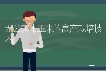 无公害甜玉米的高产栽培技术