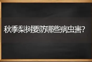 秋季梨树要防哪些病虫害?