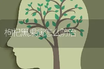 枸杞黑果病怎么防治