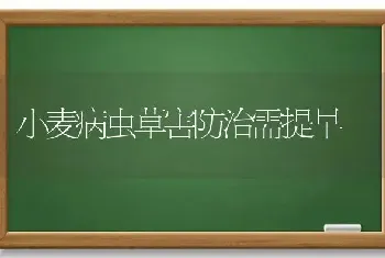 小麦病虫草害防治需提早