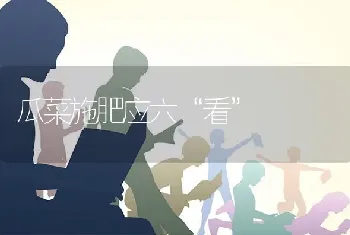 瓜菜施肥应六“看”