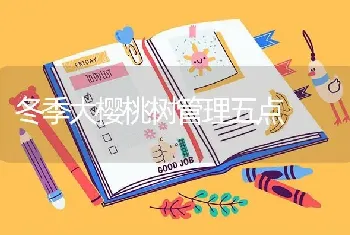 冬季大樱桃树管理五点