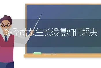 冬季蔬菜生长缓慢如何解决