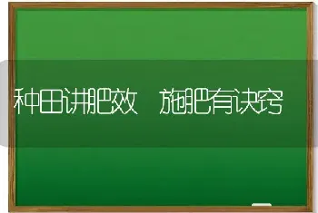 种田讲肥效 施肥有诀窍