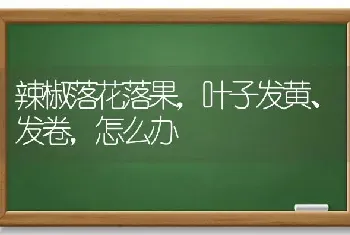 辣椒落花落果,叶子发黄、发卷,怎么办