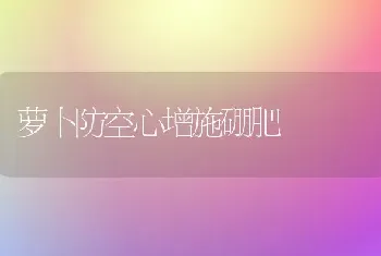 萝卜防空心增施硼肥