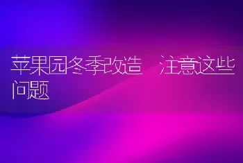 苹果园冬季改造 注意这些问题