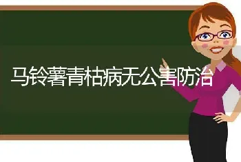 马铃薯青枯病无公害防治