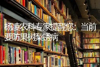 杨凌农科专家提醒您：当前要防果树梨锈病